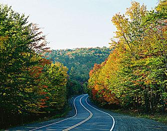 《灵活脑学校 一起伸展大脑》发布中文CM2 游戏12月3日发售